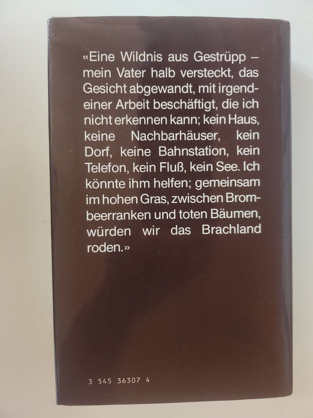 Libri: Christoph Geiser: Brachland – Usato da Dietikon venduto da Buchantiqdietikon 1