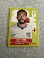 ENG7, Reece James, Panini 