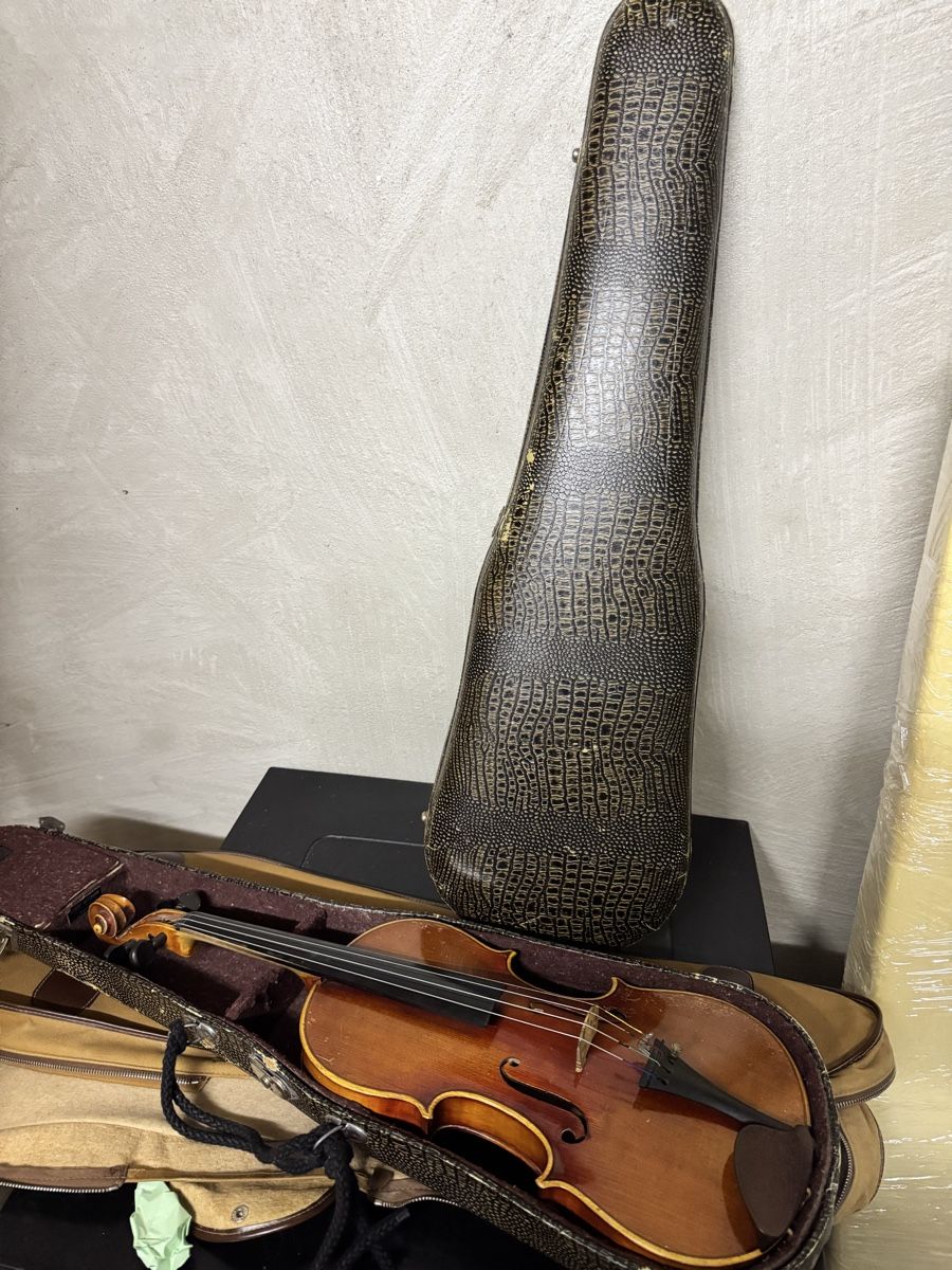 Strumenti musicali: Geige – Usato da Schaffhausen venduto da say_l66j 4