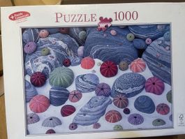 Puzzle 1000, vieles ab 1.-