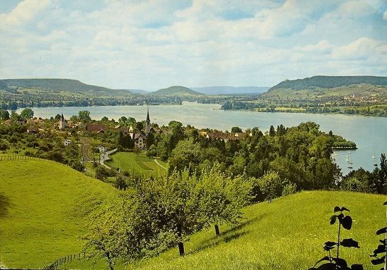 Cartoline postali: MAMMERN am Untersee – Usato da Jona venduto da philajona