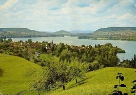 MAMMERN am Untersee