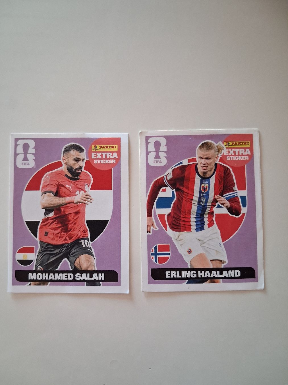 Panini Carte collezionabili: Panini EXTRA STICKER lila 2026 – Usato da Erlen venduto da Staeheli84