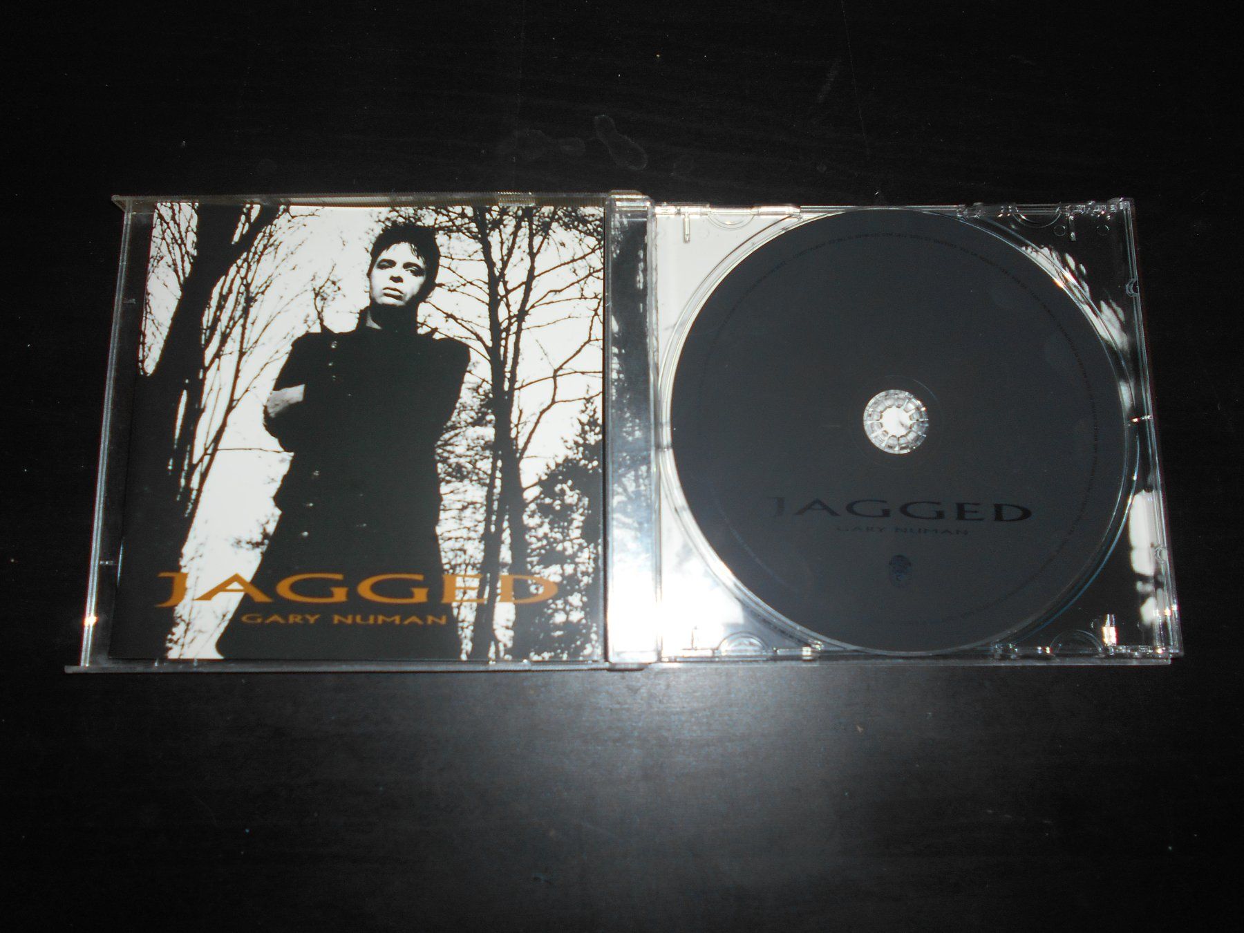 CD: Gary Numan – Jagged / 2006 – Usato da Aarberg venduto da witchhunter01