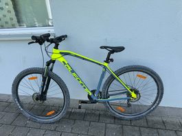 California Crew 29" Mountainbike – 50 cm -Top Zustand 