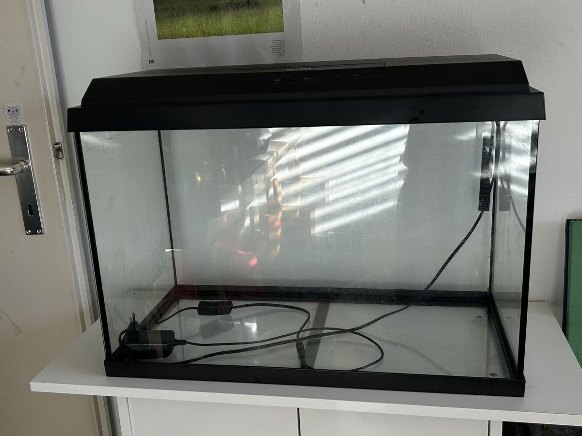Acquari: Aquarium mit Zubehör – Usato da Küttigen venduto da Biendli0
