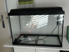 Aquarium mit Zubehör