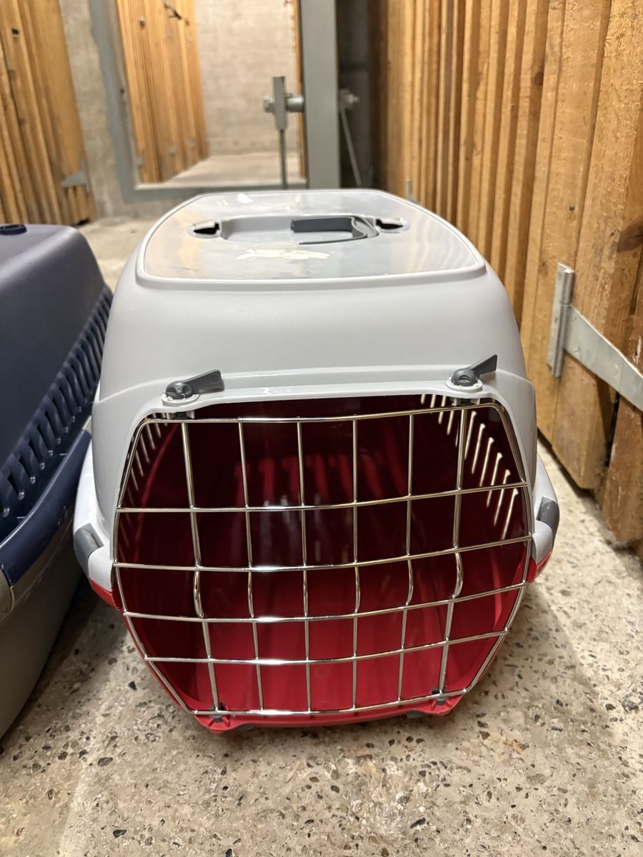 Gabbie, trasporto & Sicurezza: Gebrauchte Transportboxen für Hunde oder Katzen, 2 Stk. – Usato da Burgdorf venduto da Eramon