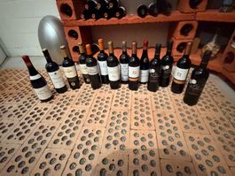 14 spanische Rotweine im Paket - diverse Jahrgänge
