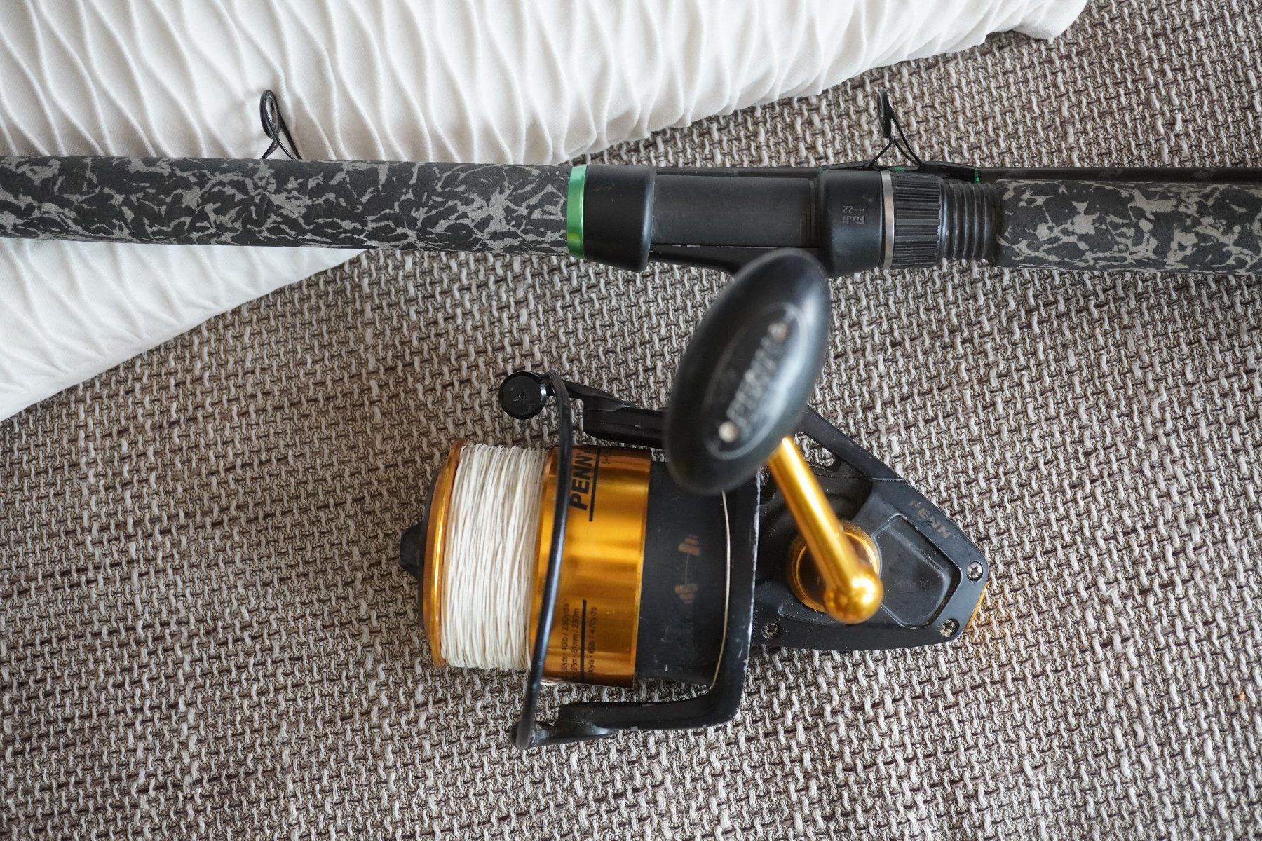 Zeck Wels Rute Pro Cat Short and Soft 280cm mit Rolle Penn (Gebraucht) in  Eschenbach SG fr CHF 160  nur Abholung auf Ricardo kaufen