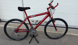 Vintage Custom Bike Verago