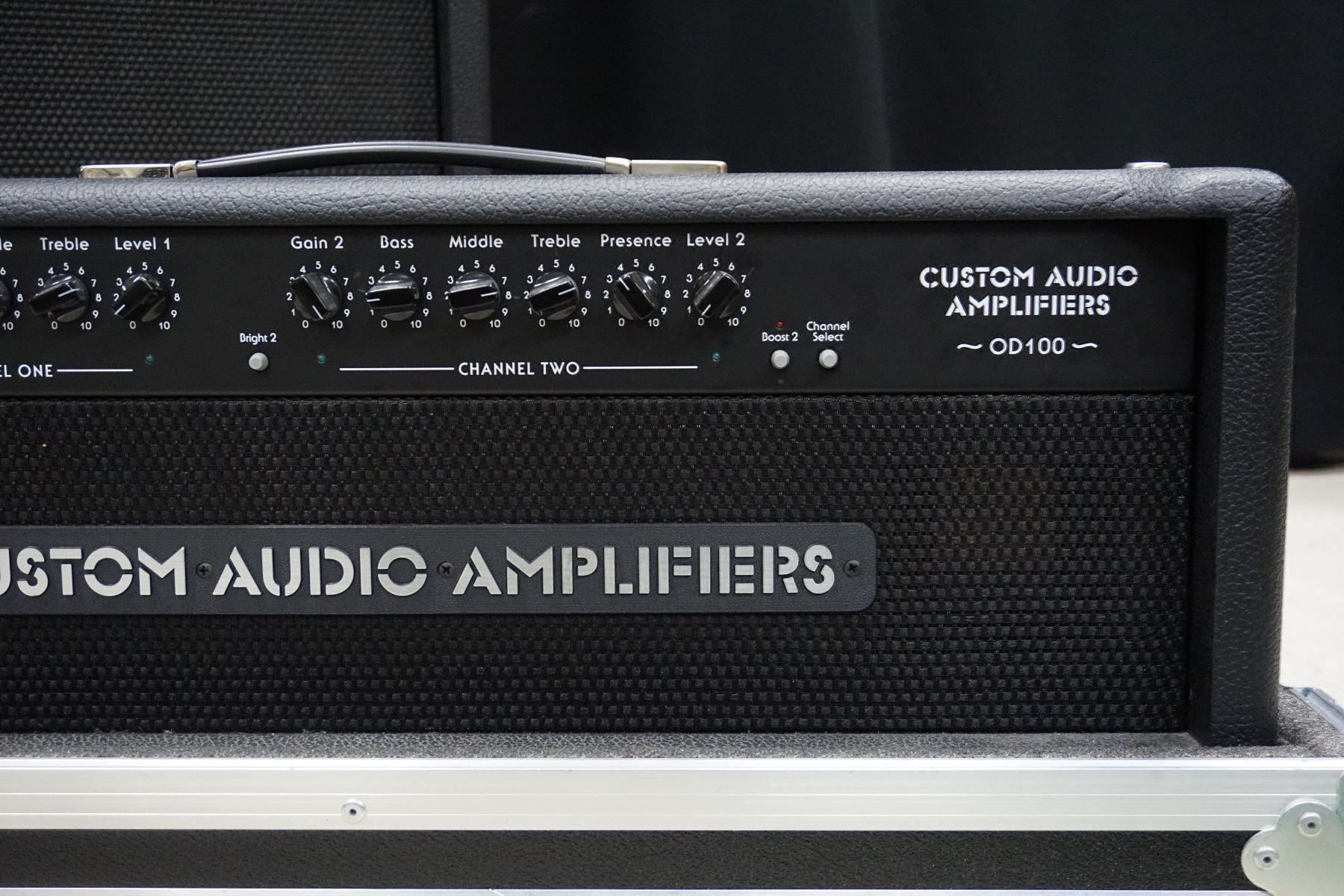 Amplificatori: Custom Audio Amplifier OD-100 4x12 Cabinet – Usato da Ortschwaben venduto da Musictrade 3
