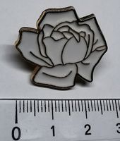 Weisse Blüte / Rose  - Pin  (neu/OVP)