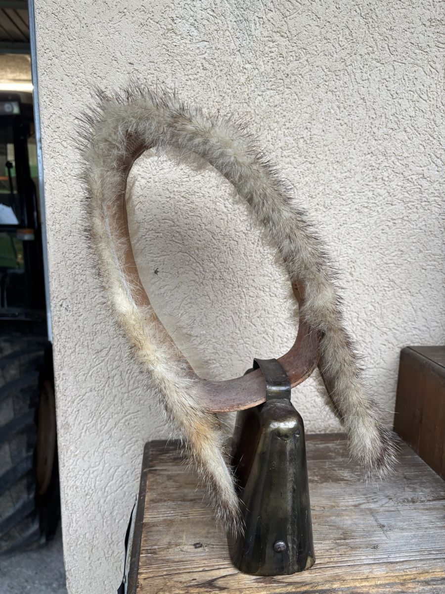 Glocken & Treicheln: ASM Treichel NR 6 – Gebraucht aus Schangnau von Roseggli82 2