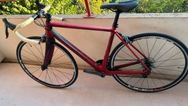 Corratec CCT Team Carbon Rennrad 
