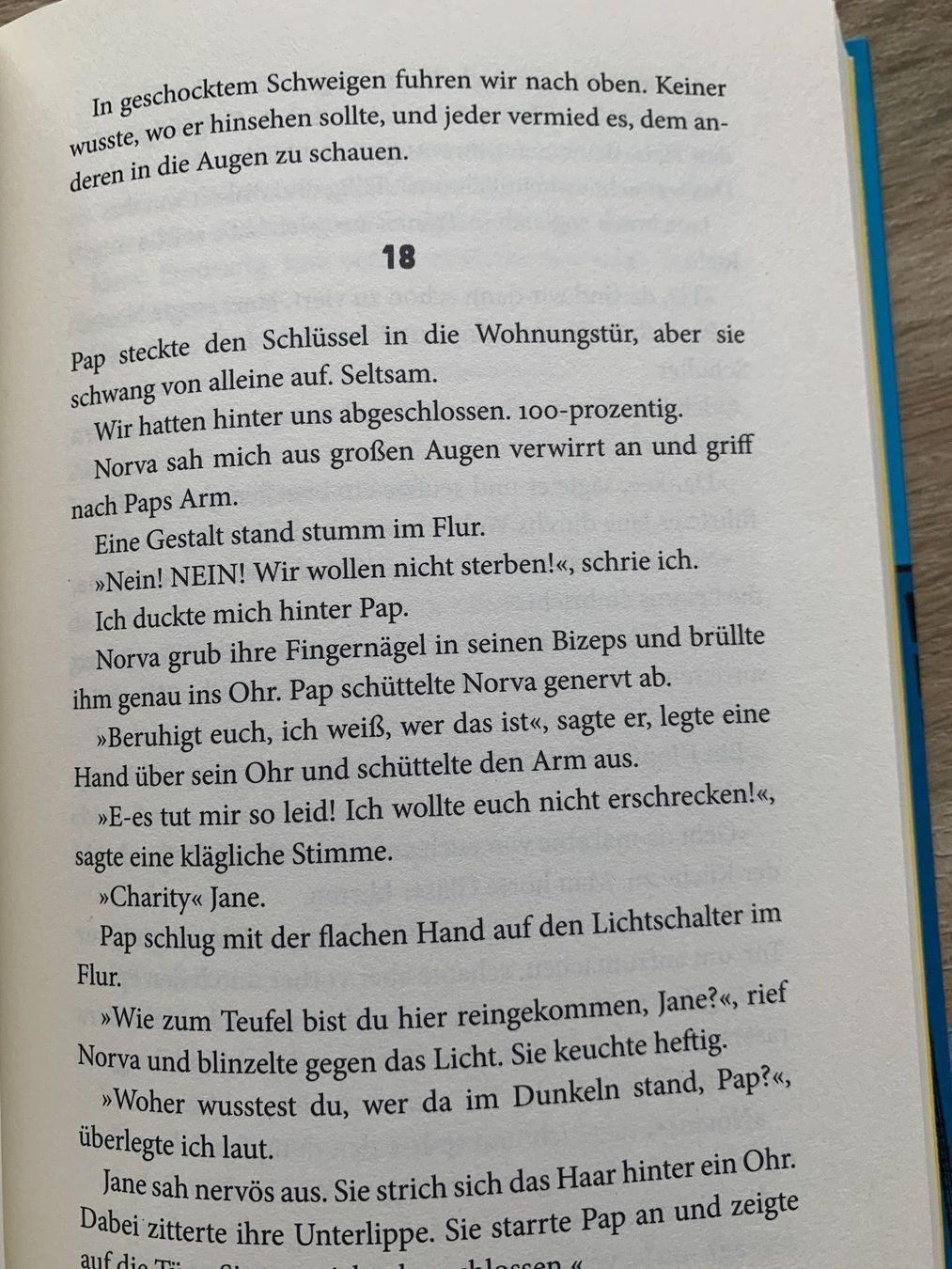 Libri: Kinderbuch High rise mystery – Usato da Biel-Benken BL venduto da BelginE 2