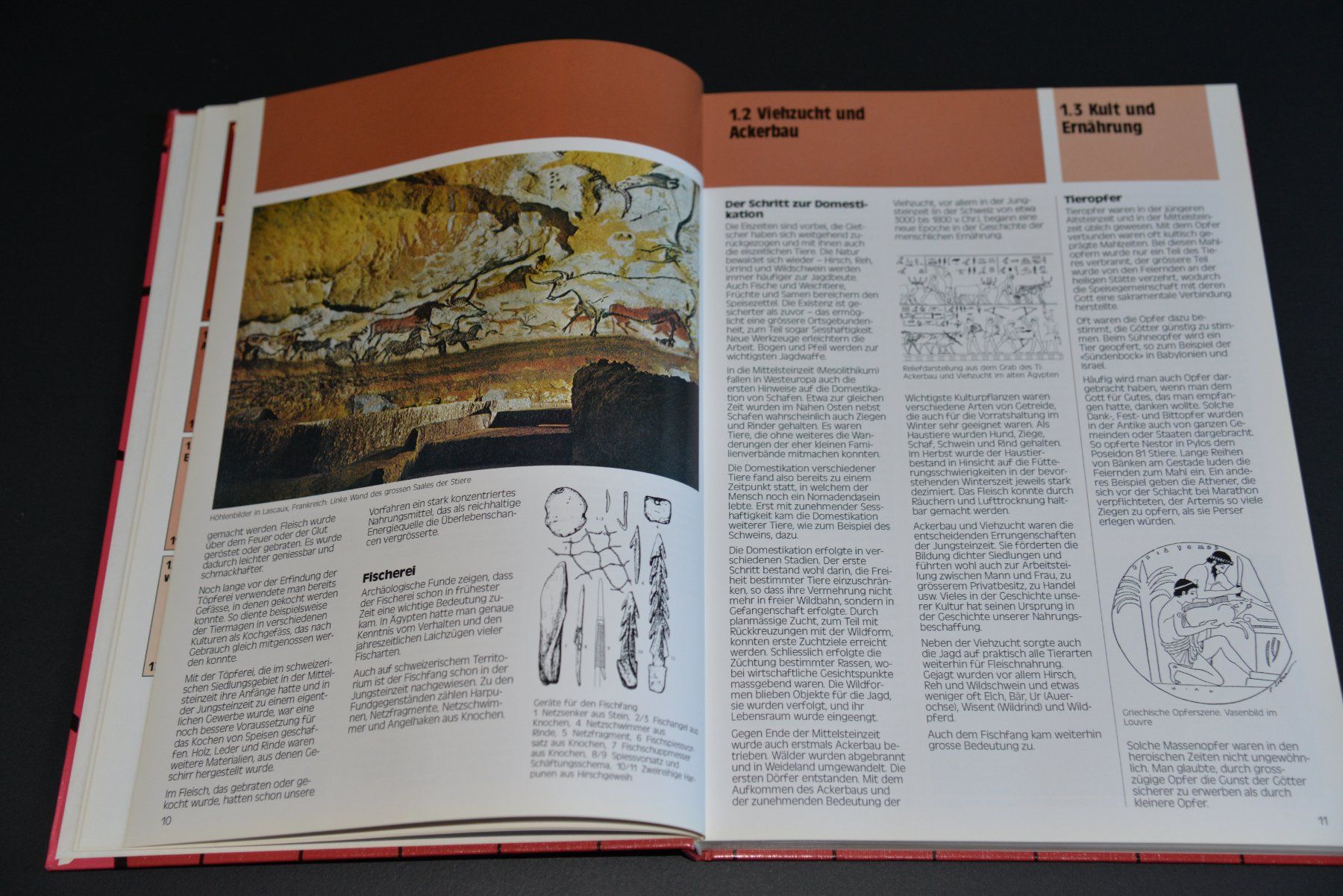 Libri: Stichwort Fleisch, 1. Auflage, 1985 – Usato da Lungern venduto da Kammer-Lungern 8