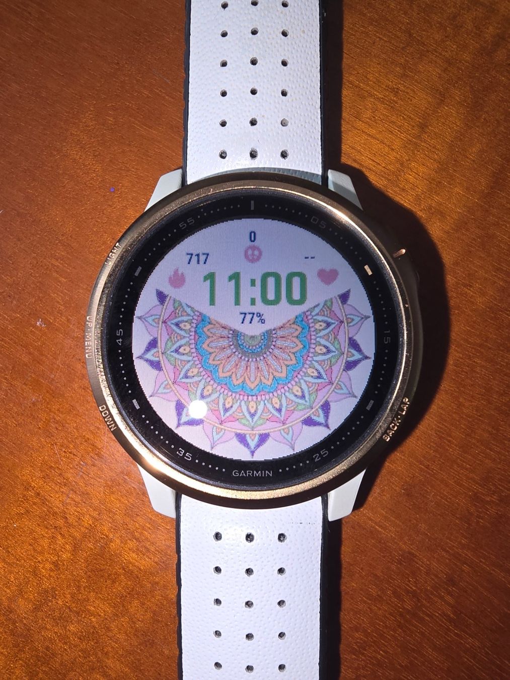 Garmin Smartwatch: MONTRE CONNECTEE GARMIN FENIX 6S PRO – Usato da CORGEMONT venduto da hoodoo2007 3