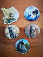 5 x Kletties Fee,Meerjungfrau,Katze, Pferd ergobag Schulthek