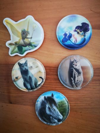 5 x Kletties Fee,Meerjungfrau,Katze, Pferd ergobag Schulthek