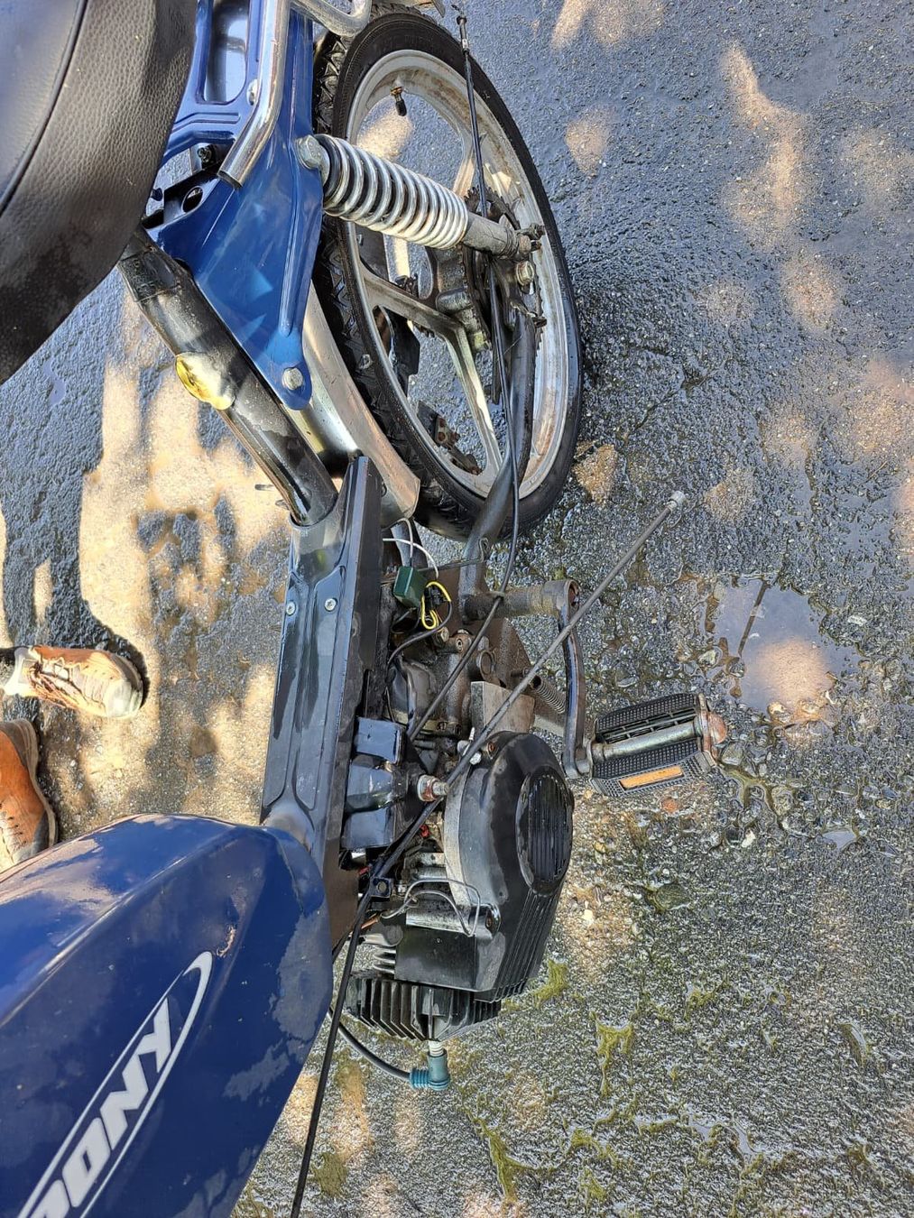Pony Ciclomotori: Pony Gtx – Difettoso da Gelfingen venduto da Hase03 3