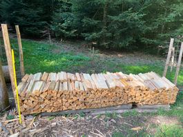 0.9 Ster Brennholz trocken 33cm, ohne Rinde=kaum Parasiten