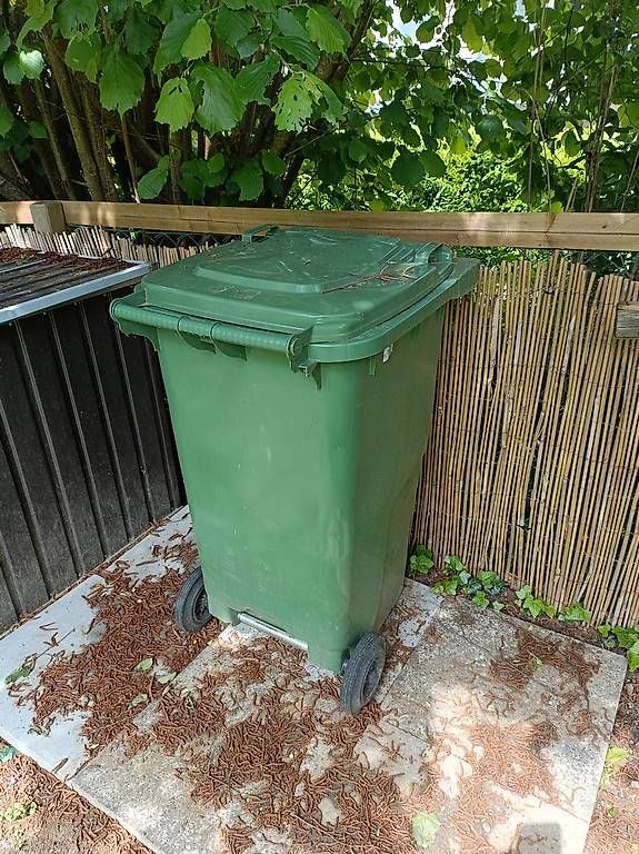 Altro per Ufficio & Commercio: Grüne Abfalltonne / Müllcontainer mit Rollen – Usato da Steckborn venduto da AusbilderLoretzGmbH