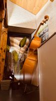 3/4 Kontrabass mit Volumen, Transportsack, heller Lack