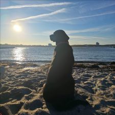 Profile image of Retro.Andy