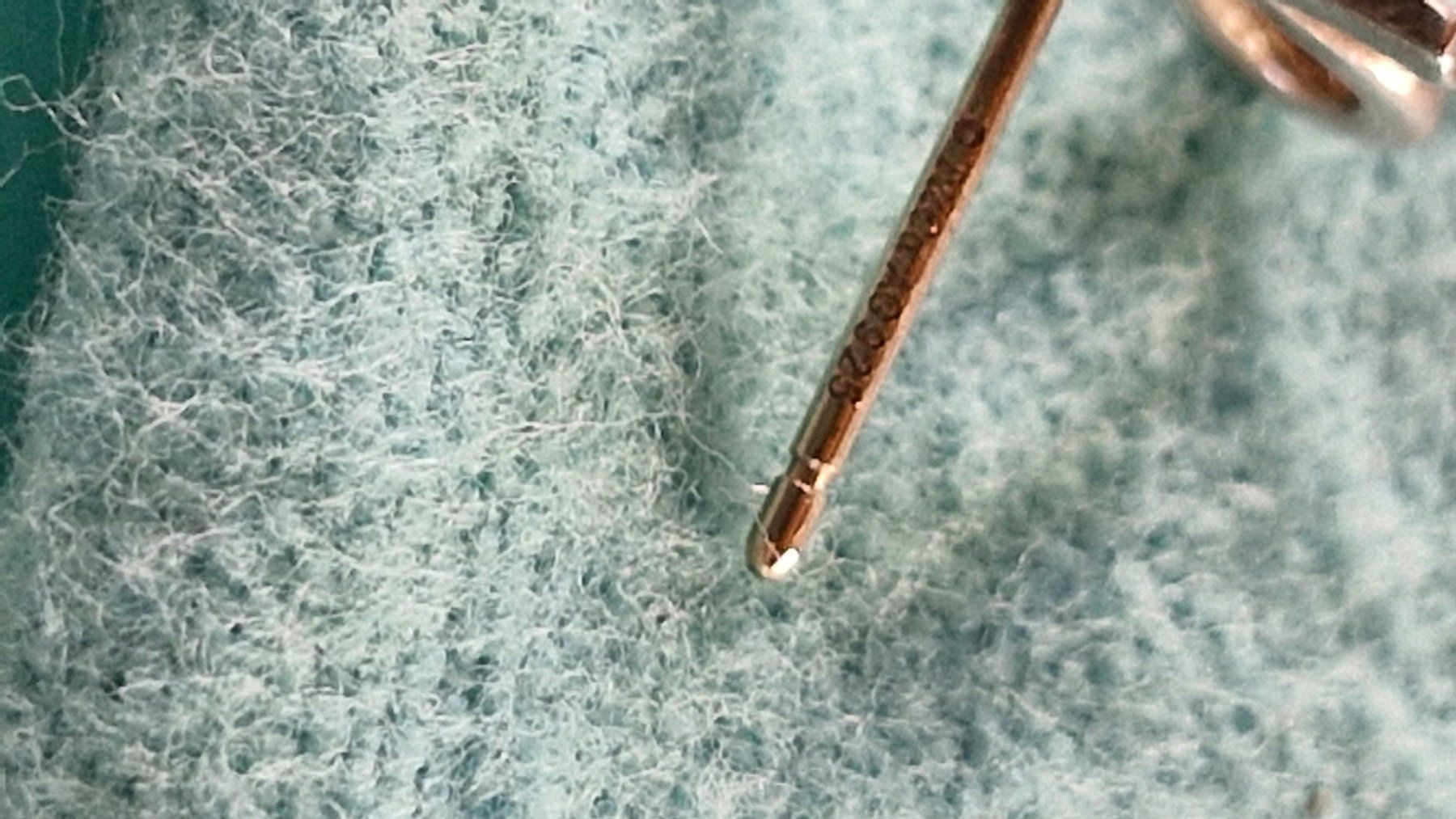 Tiffany & Co. Ohrringe & -stecker: Tiffany & Co. Bow Ohrstecker 925 AG – Gebraucht aus Forch von nadinepalermo 5
