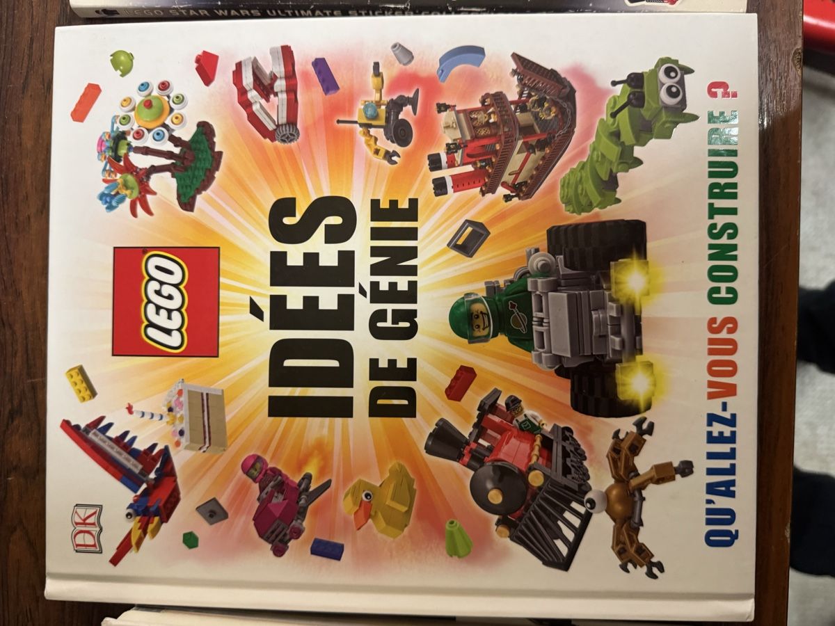 Libri: Lot de 4 livres Lego – Usato da Lausanne venduto da Michel_Ozcan 2