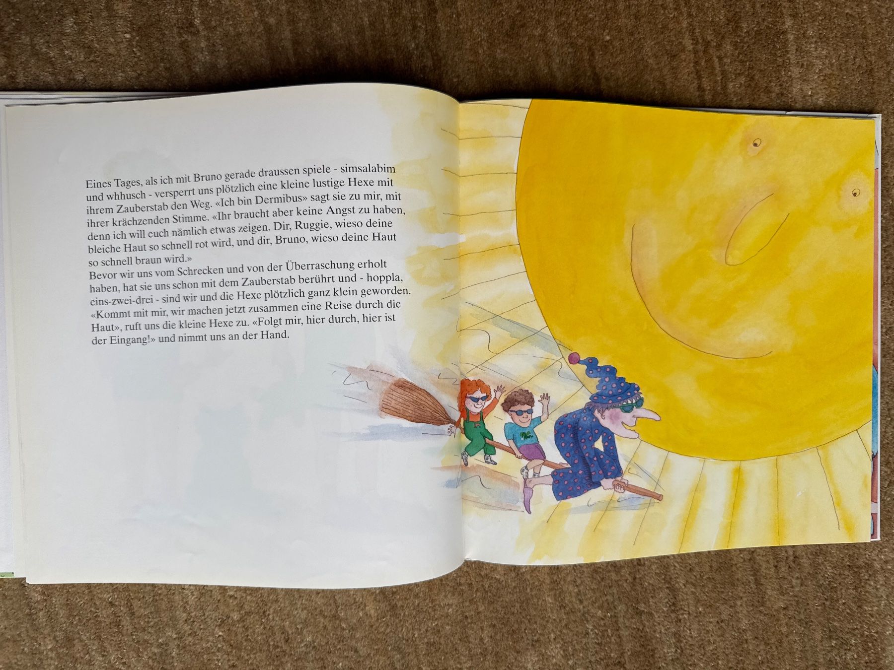 Libri: Die Sonne unsere Freundin - pro juventute – Usato da Aarau venduto da Kilauea 3