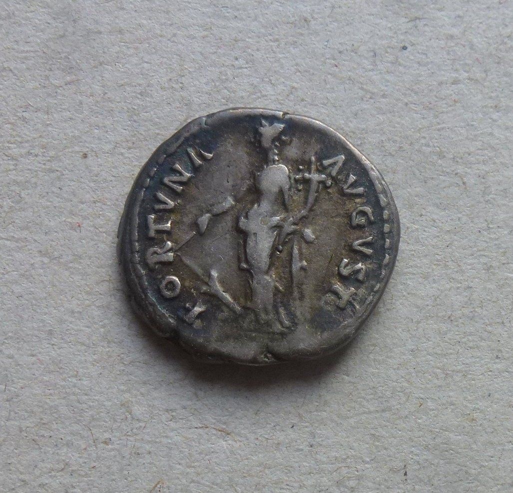 Tutti le monete: Rom - Denar - Nerva (96-98 n.Chr.) – Usato da Walkringen venduto da Casablanca777 1
