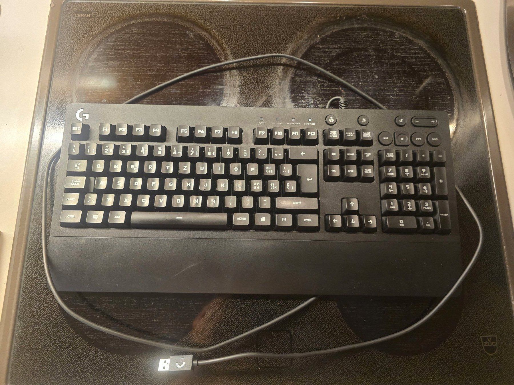 Logitech Tastiere: Tastatur G213 Lopgitech – Usato da Schaffhausen venduto da K.Ichimaru 1