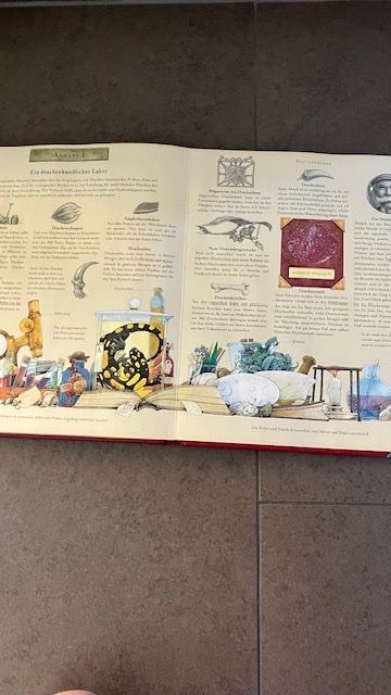 Libri: Cooles Drachen-Buch – Usato da Altstätten SG venduto da gina6378 2