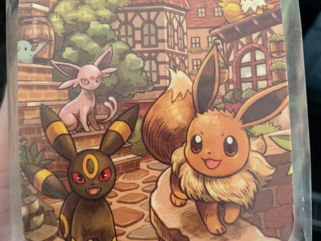 Pokémon Carte collezionabili: Evee Heroes Kartenhüllen und Deckbox – Nuovo e nell'imballaggio originale da Ringgenberg BE venduto da gemkeeper 1