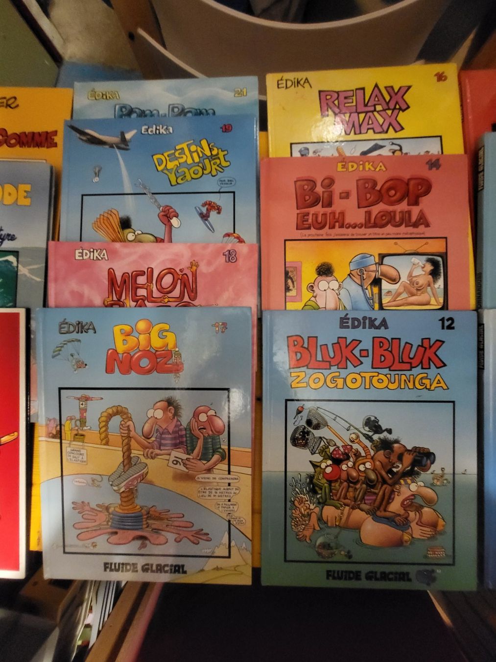 Comics: Lot de 19 bd Fluide Glacial – Gebraucht aus Lausanne von riwink 2