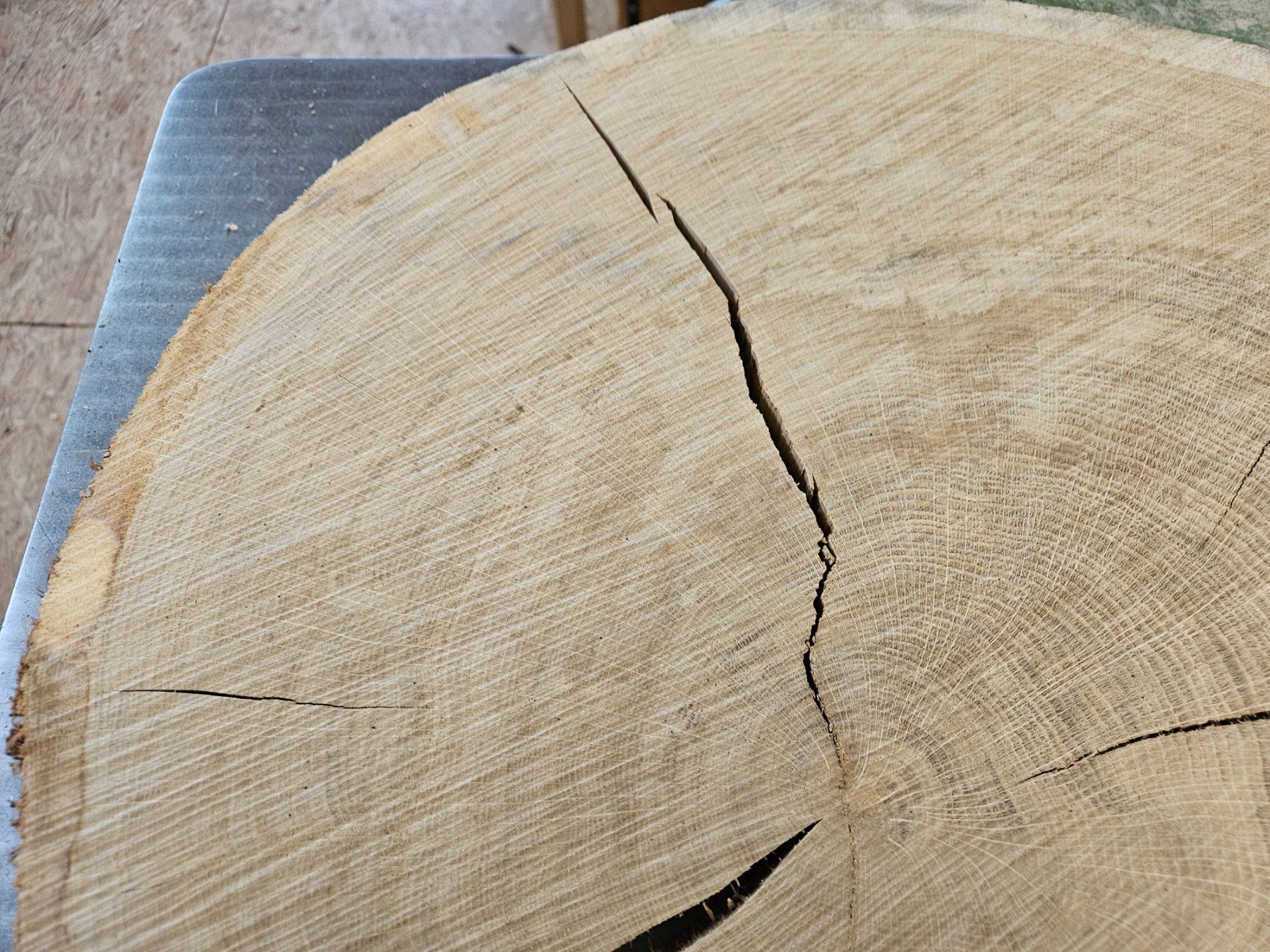 Holzartikel: Eichen Holz Baumscheibe – Neu (gemäss Beschreibung) aus Schangnau von egli6.2 5
