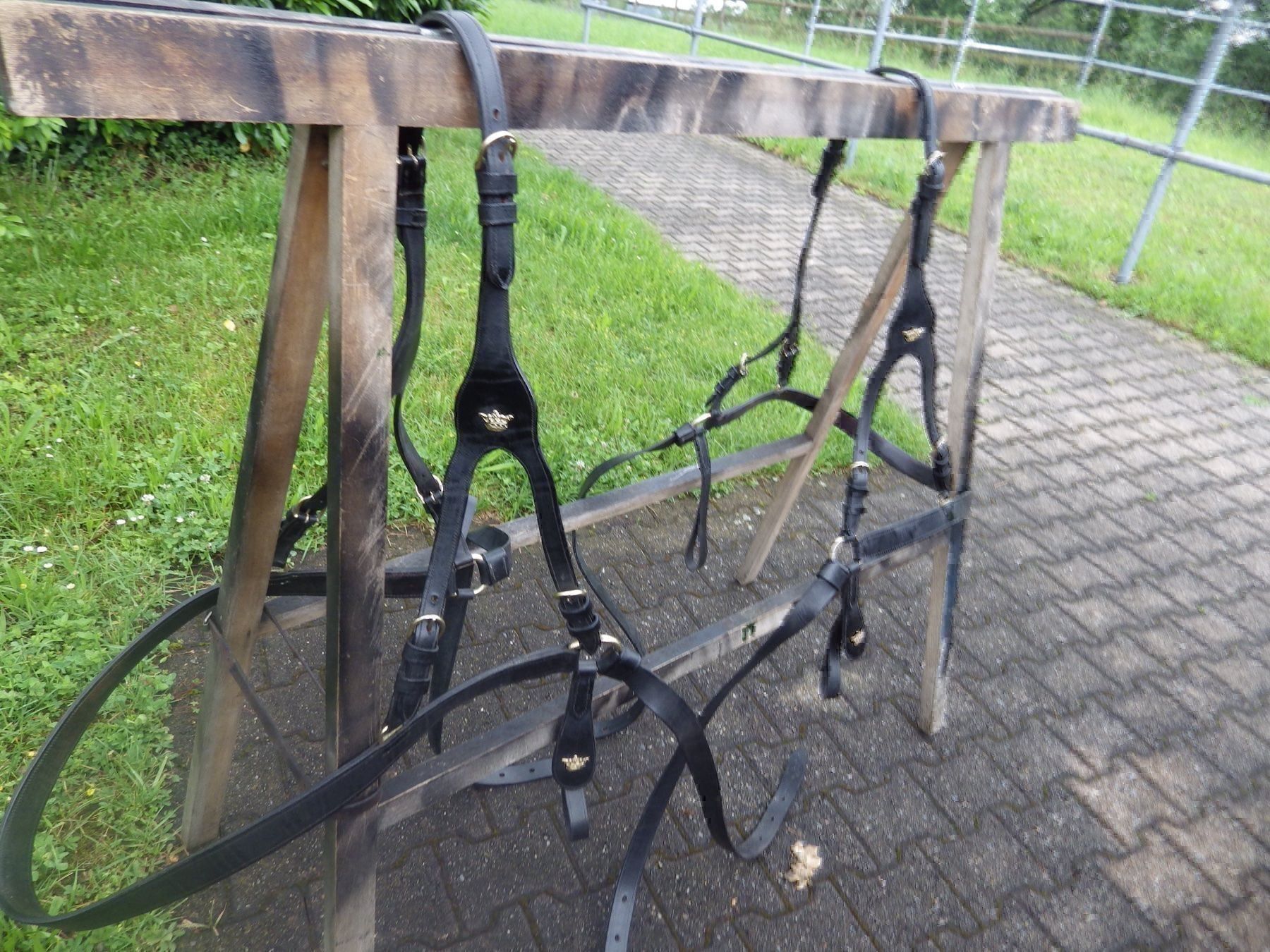 Carrozze: 2 schöne Hintergeschirre – Usato da Feldbach venduto da Fea1 5
