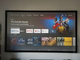 Elite Screen Cinegrey 5D 120"