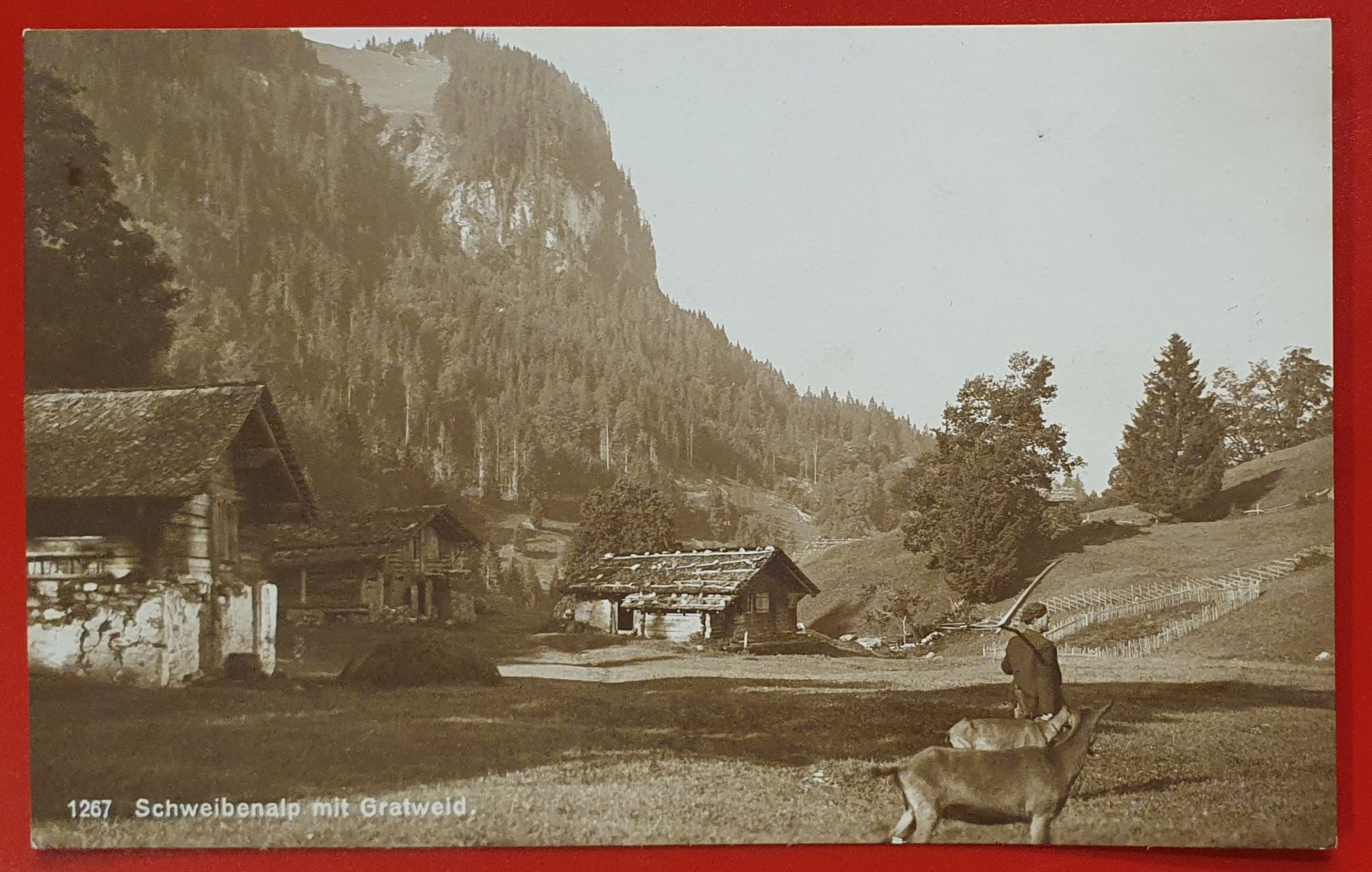 Cartoline postali: Schweibenalp mit Gratweid 1922 – Usato da Kreuzlingen venduto da Rschweiz1
