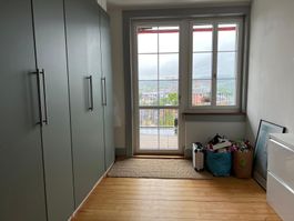 5 x Türe Reinsvoll 50 x 229 graugrün mit Griff Kallrör Pax