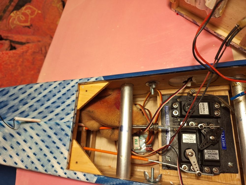 Mod?�lisme AVION RC. (Gebraucht) in Bavois f?�r CHF 20 �?? nur Abholung auf Ricardo kaufen