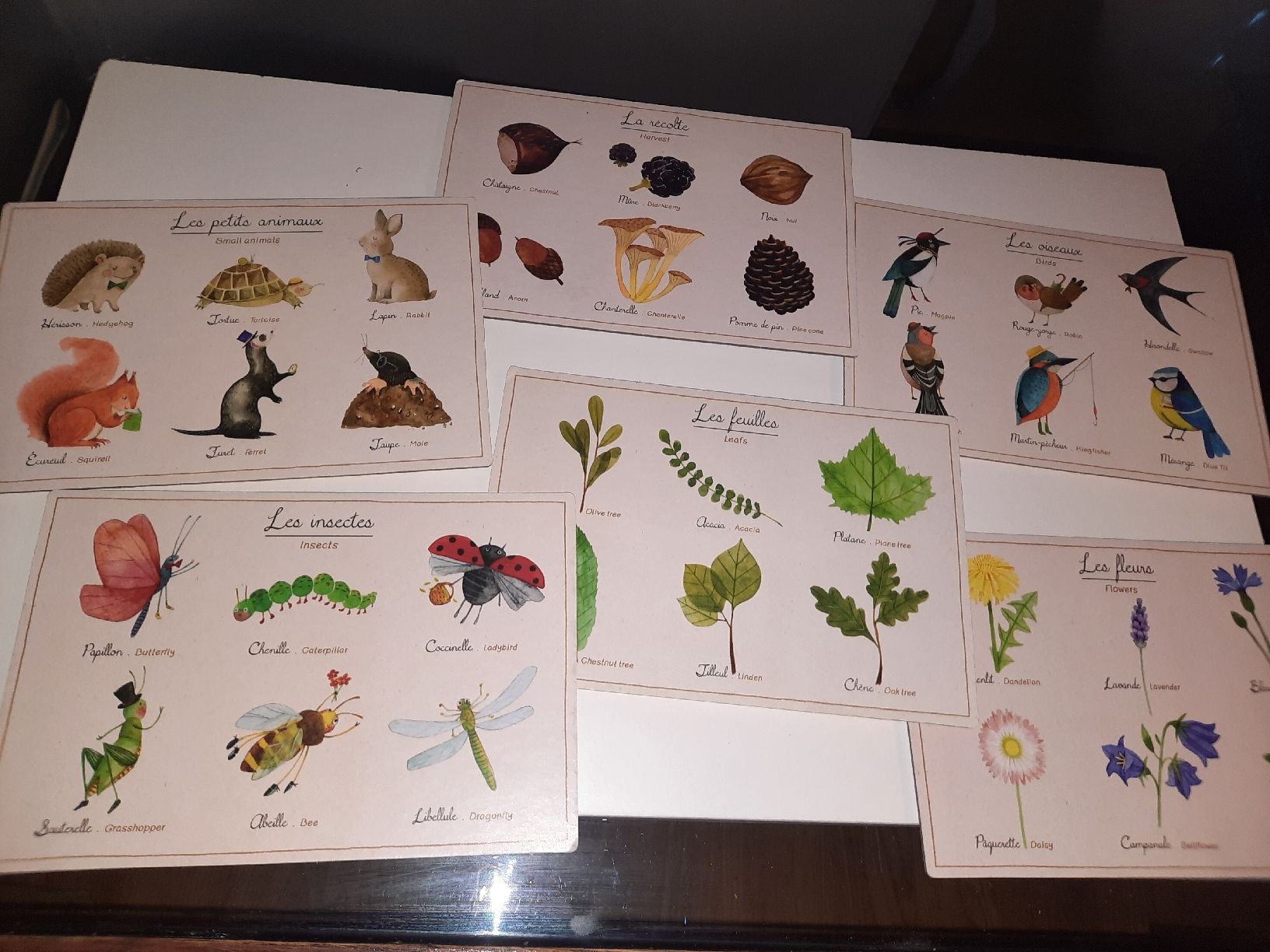 Giochi: Le loto de la nature – Usato da Biasca venduto da Old_6blh 2