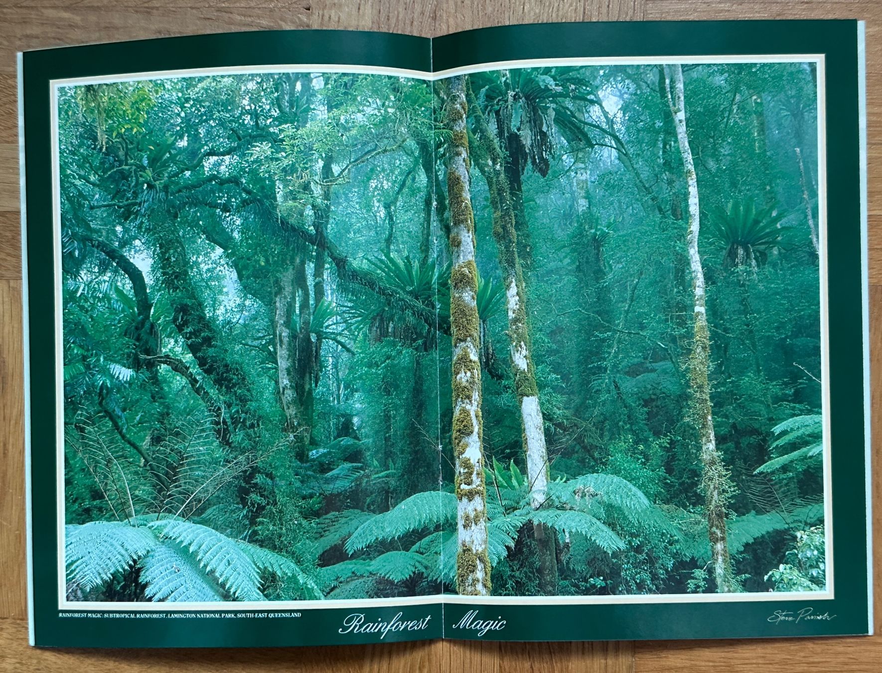 Bücher: Heft, Büchlein AUSTRALIEN, RAINFOREST – Neu (gemäss Beschreibung) aus Reinach BL von Sdruefenacht 2