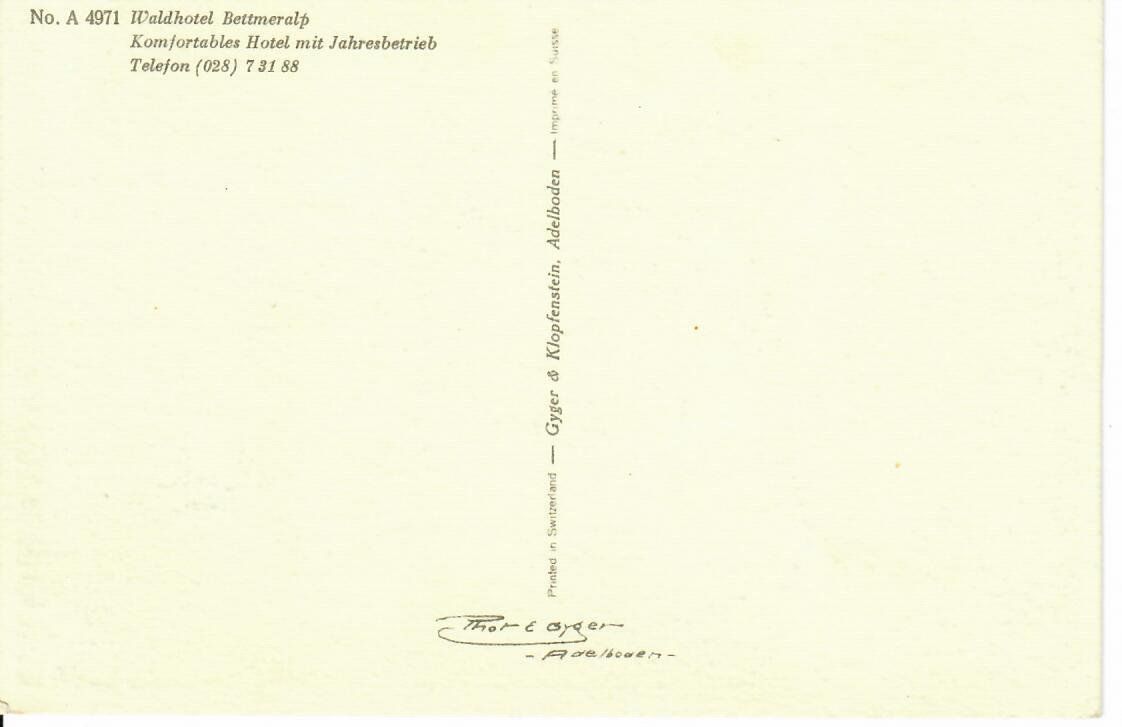 Cartes postales: Waldhotel Bettmeralp – D'occasion à Hochdorf par Ziegel-16 1