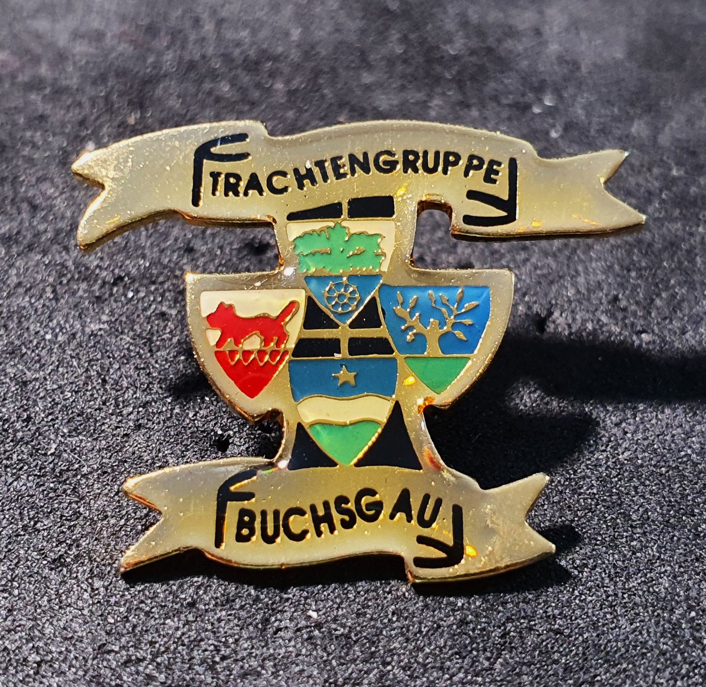Plaketten & Abzeichen: Y017 - Pin Trachtengruppe Buchsgau – Gebraucht aus Reinach BL von Boston-Verkauf