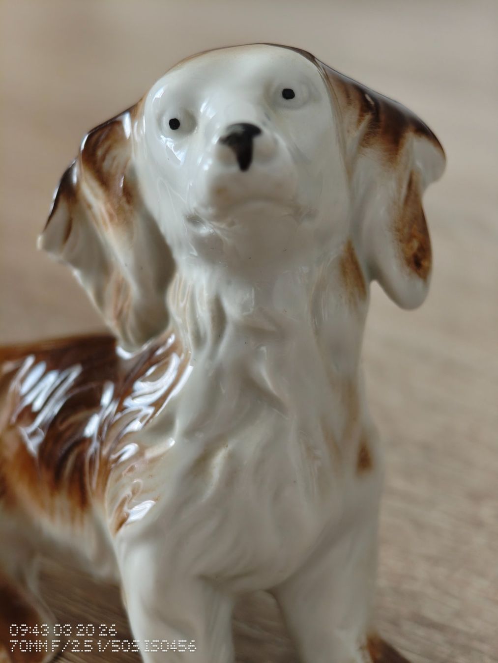 Figuren: Porzellan Langhaardackel – Gebraucht aus St. Gallen von Ricardo_Deals 1