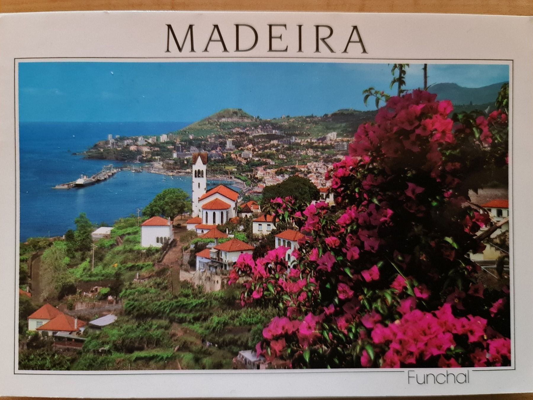 Cartoline postali: Ansichtskarte Madeira Funchal Portugal – Usato da Dintikon venduto da Vexi