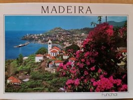 Ansichtskarte Madeira Funchal Portugal